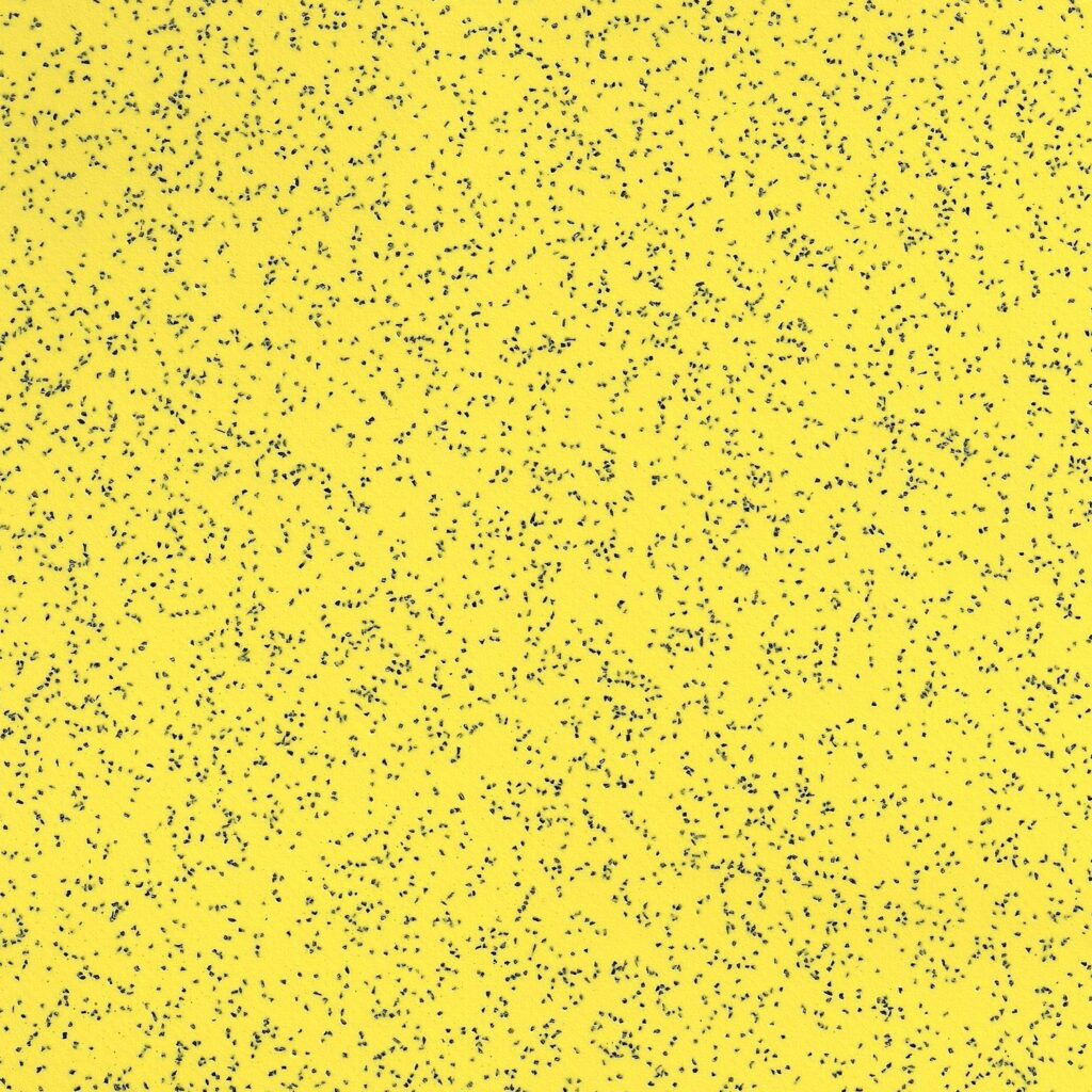 Anti-slip Flooring roll 2