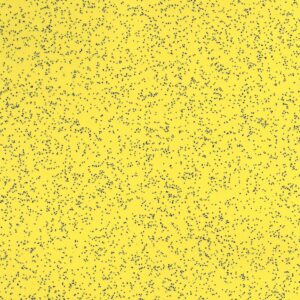 AU20-2321 PVC transport flooring color